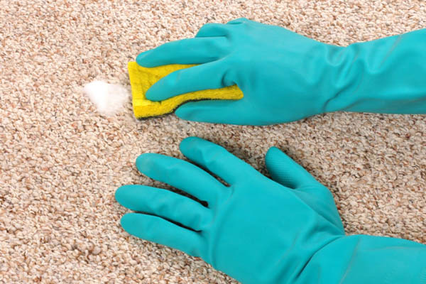 Công ty vệ sinh công nghiêp tẩy sạch vết bẩn trên thảm